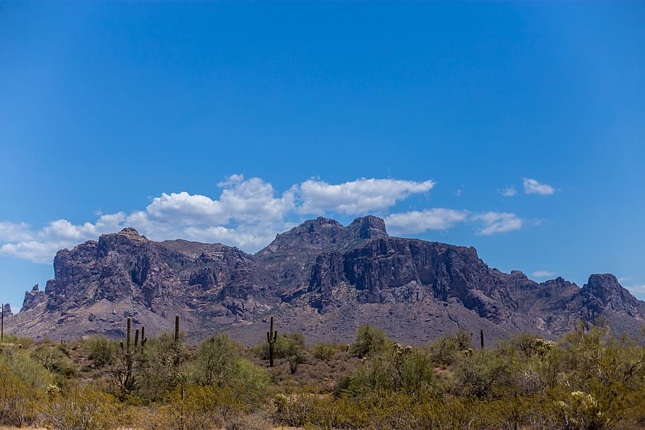 united states, phoenix, cactus, mountains, arizona, pheonix HD wallpaper