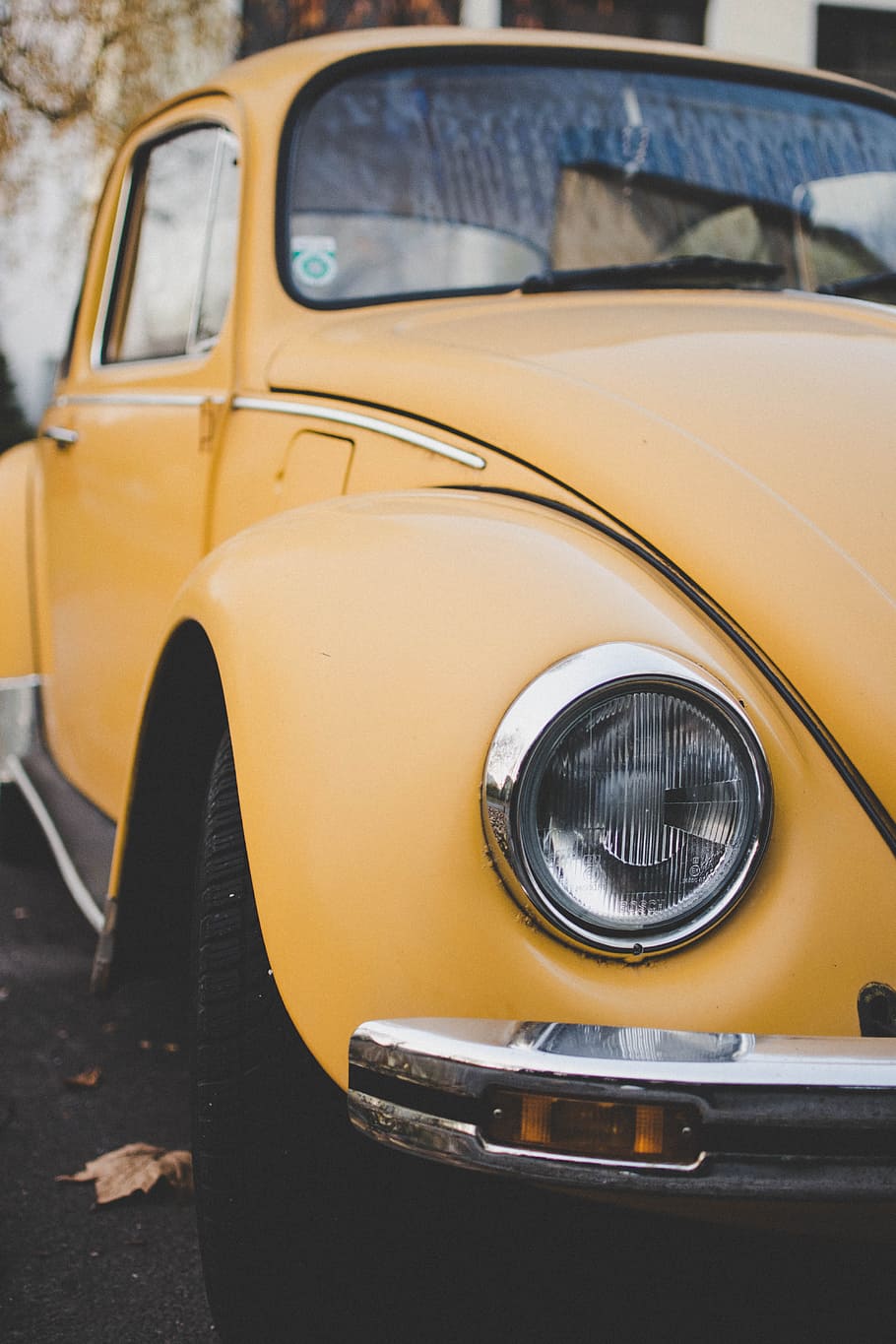 yellow Volkswagen beetle, transport, car, moody, old, traveling