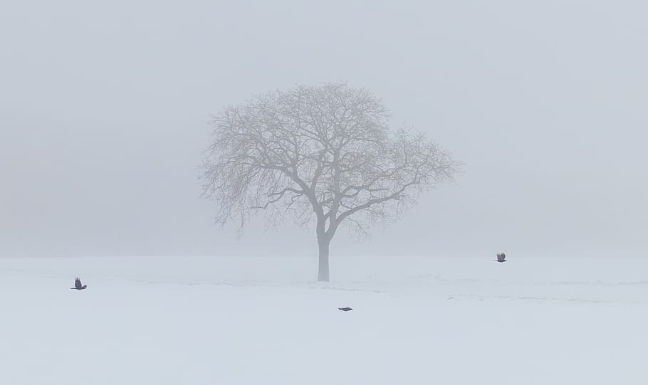 switzerland, geneva, minimalism, misty, haze, hazy, foggy, silhouette HD wallpaper
