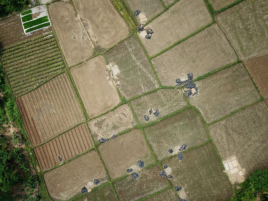 Aerial View of Farm, bird's eye view, bright, daylight, environment HD wallpaper