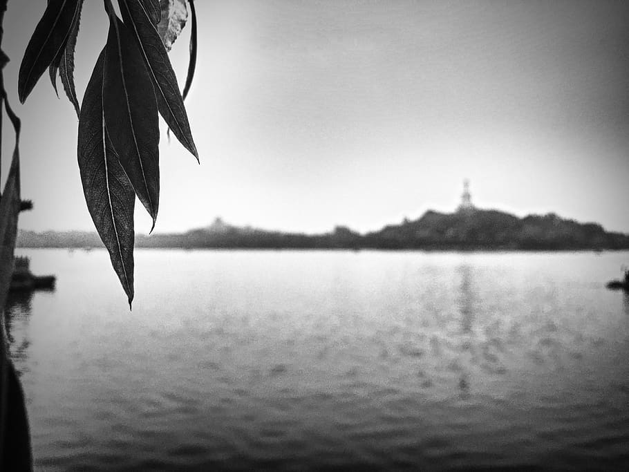 water, focus on foreground, nature, tranquility, sky, tranquil scene HD wallpaper