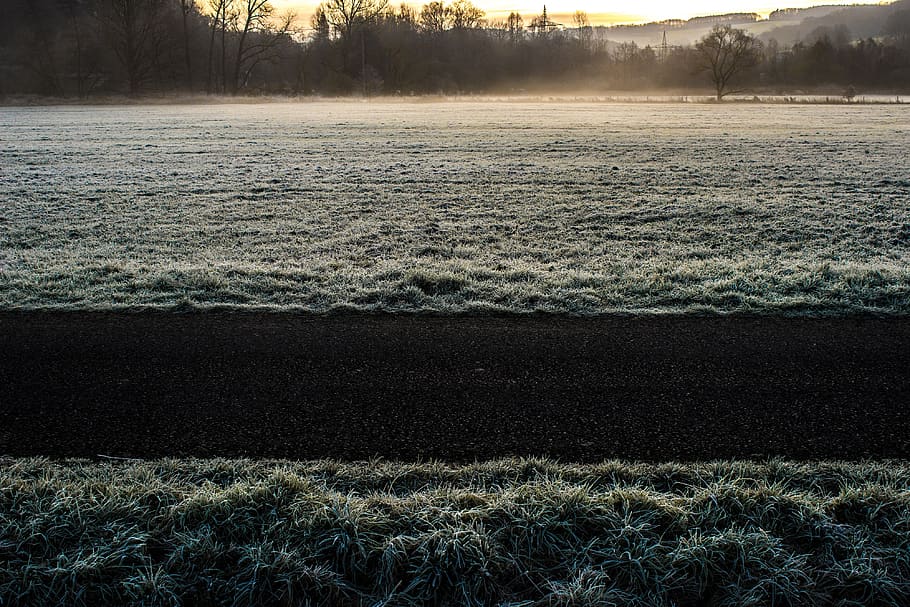 cold, winter, frozen, frost, grass, sunset, trees, plant, tranquility HD wallpaper
