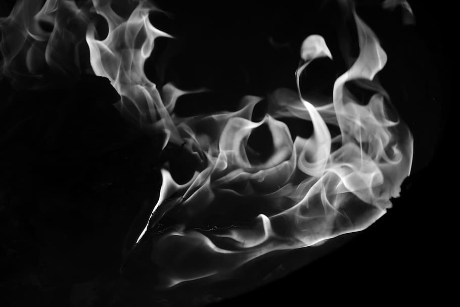 black background, close-up, no people, studio shot, indoors HD wallpaper