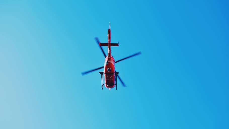 red plane up in the sky, flying, animal, bird, aircraft, vehicle HD wallpaper