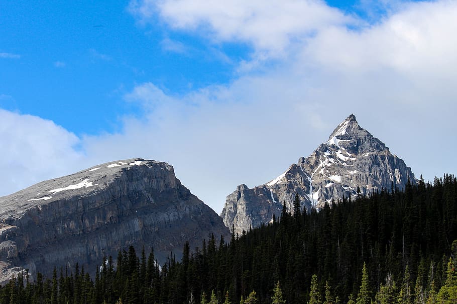 canada, jasper, snow, glacier, mountains, nature, wallpaper HD wallpaper