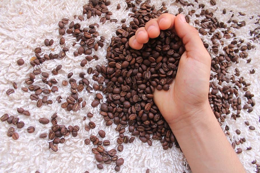 coffee, drink, caffeine, cafe, fresh, drinks, cappuccino, aroma HD wallpaper