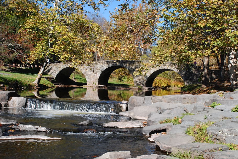 fall, river, bridge, landscape, leaves, plant, tree, water HD wallpaper