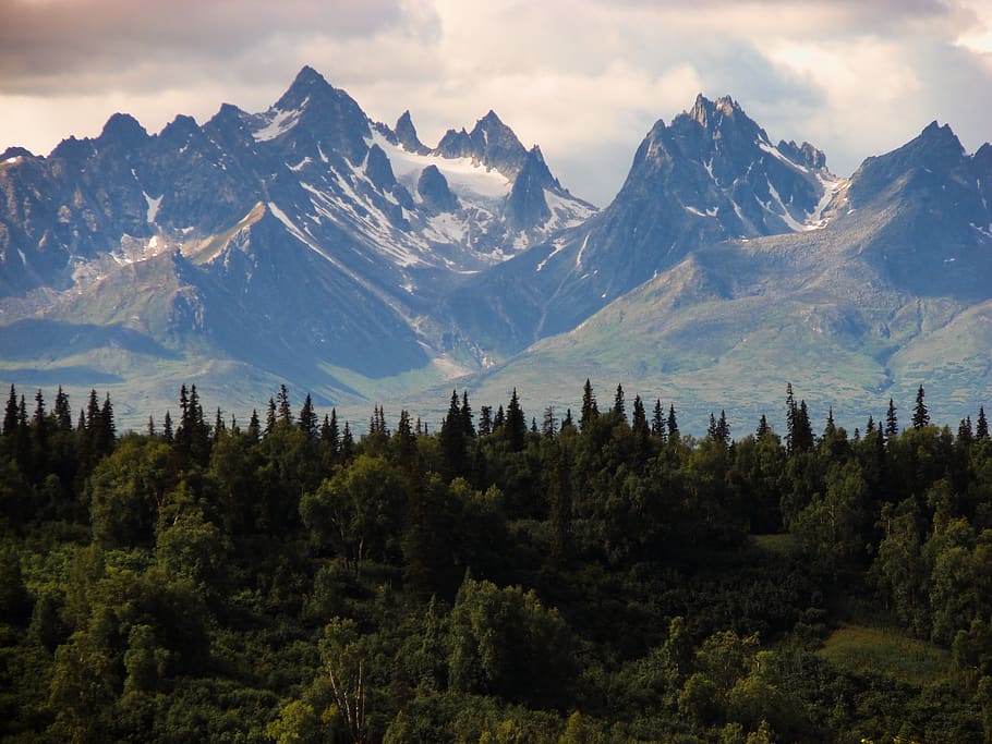 rocky mountains, canada, nature, outdoors, forest, alaska, landscape HD wallpaper