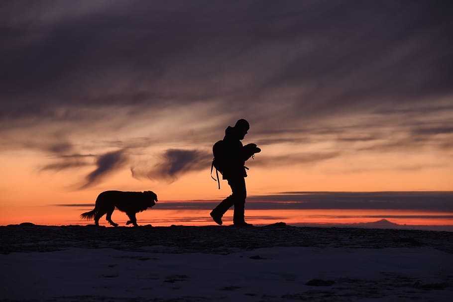 silhouette of man and dog, human, person, outdoors, nature, chugach state park, HD wallpaper