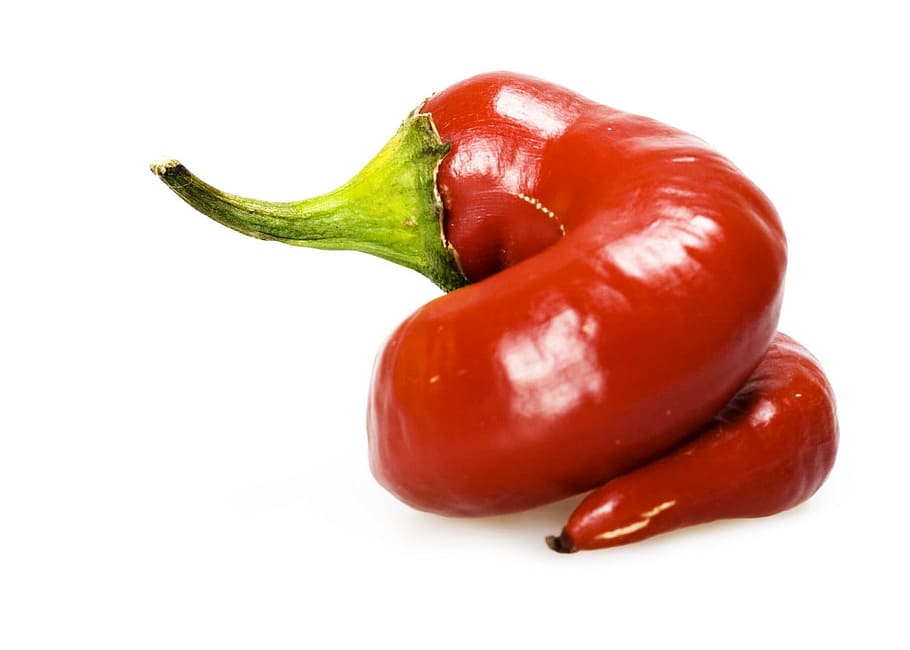 Bellpepper 1080P, 2K, 4K, 5K HD wallpapers free download | Wallpaper Flare