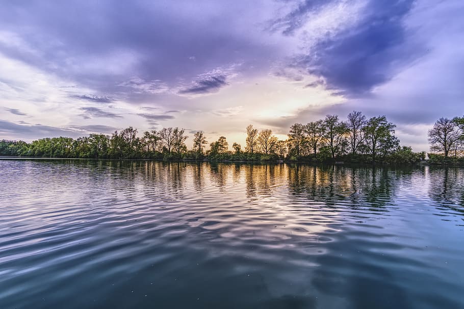 Green Trees Near Body of Water Under Cloudy Sky, beautiful, dawn HD wallpaper