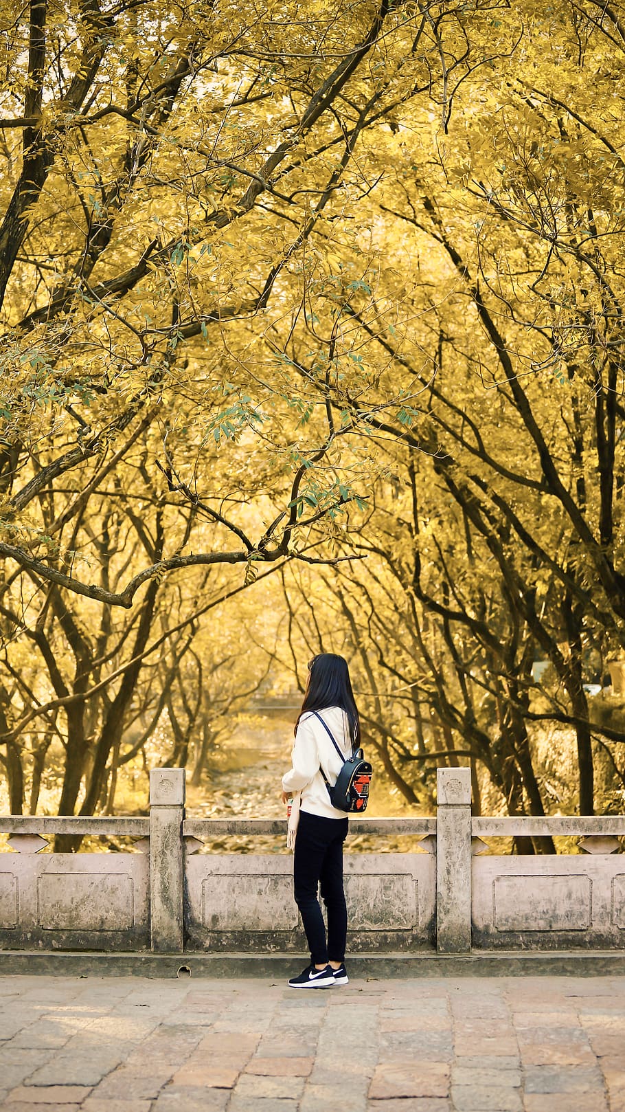 tree, full length, real people, one person, plant, autumn, leisure activity HD wallpaper