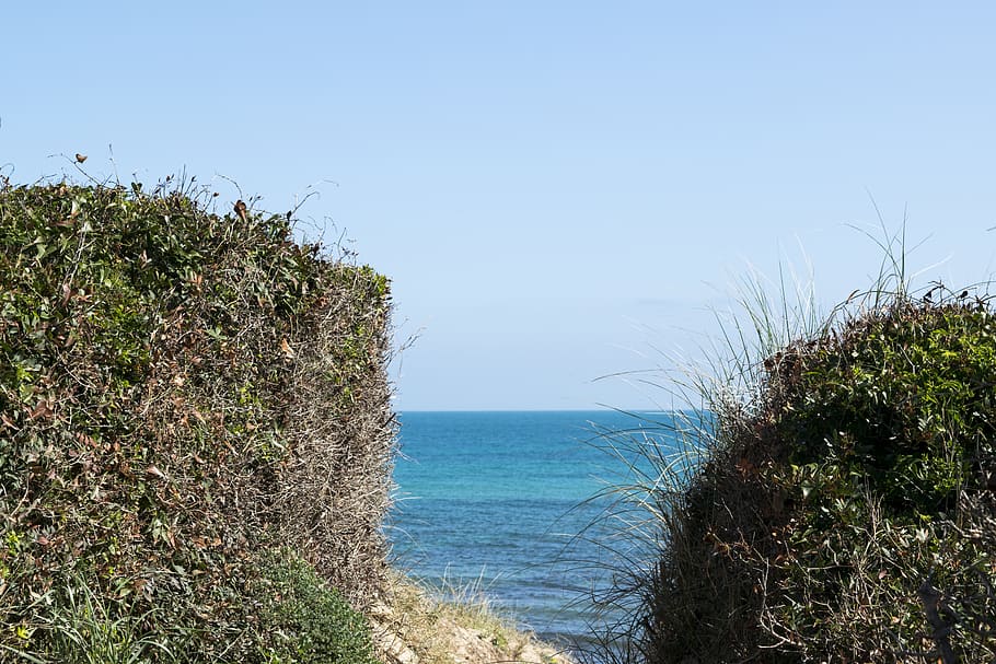 sea, nature, beach, inlet, water, blue, sky, plant, beauty in nature HD wallpaper
