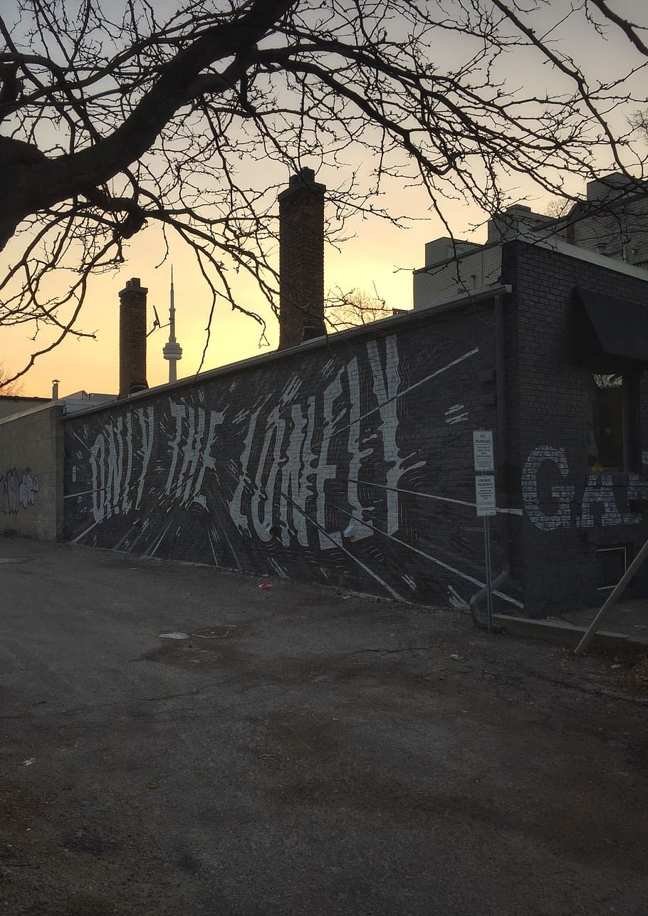 toronto, canada, alley, graffiti, urban, built structure, architecture HD wallpaper