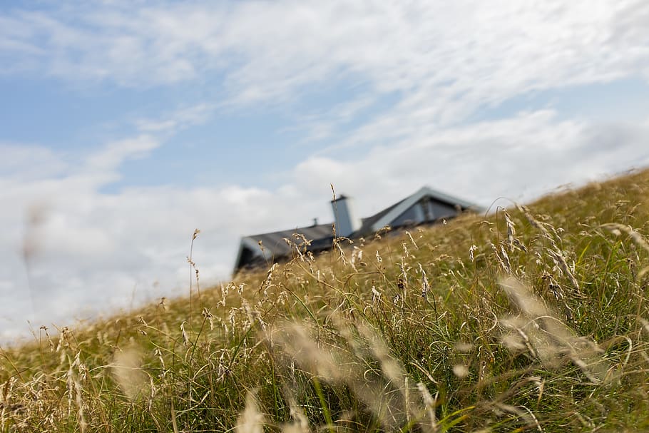 nature, outdoors, grassland, field, countryside, shelter, rural HD wallpaper