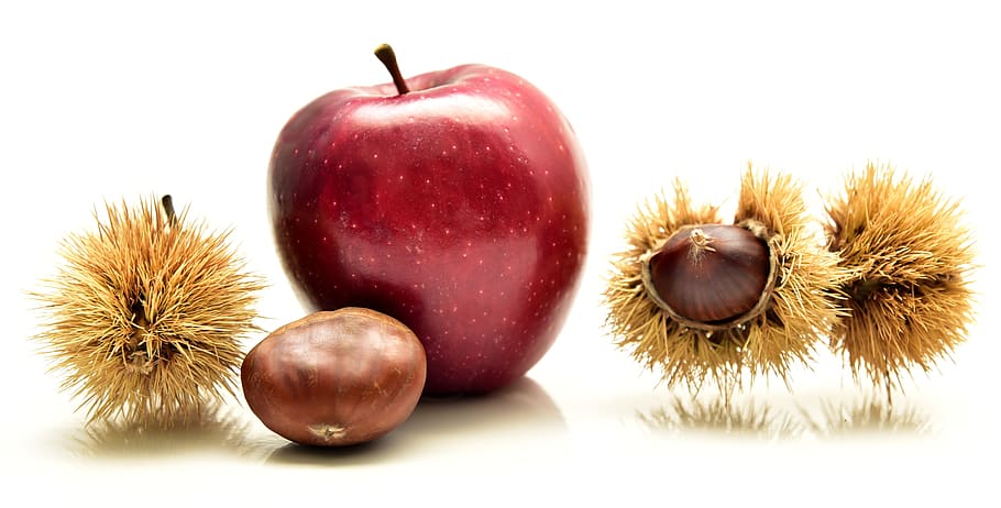 apple, chestnut, eat, fruits, autumn, spur, delicious, autumn fruits HD wallpaper
