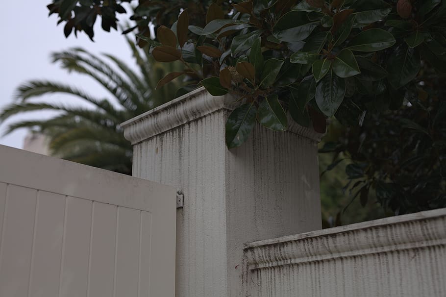 australia, melbourne, deco, urban, dirty, plants, manor, built structure HD wallpaper