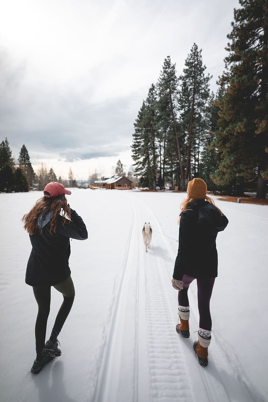 two persons on snow field, full length, winter, real people, tree, HD wallpaper