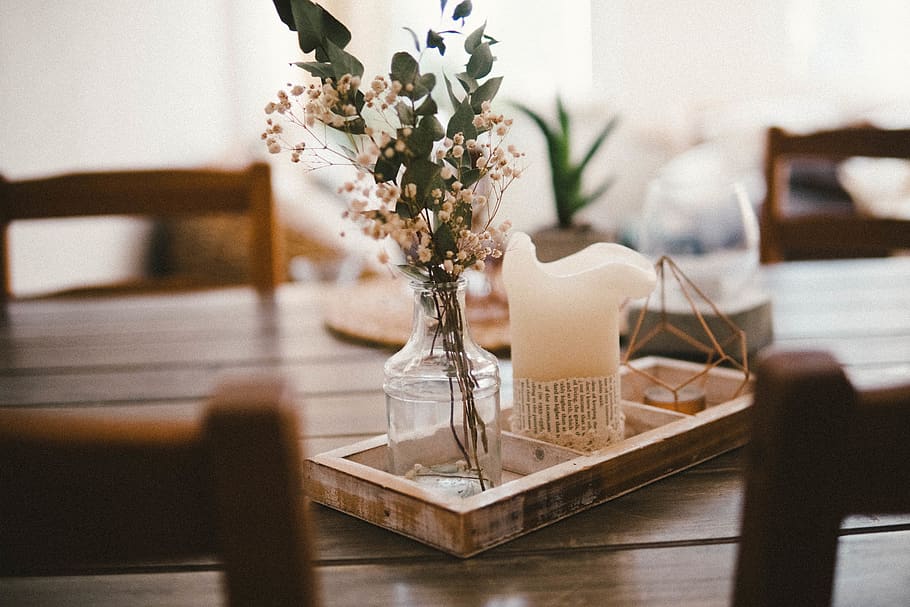 white and white flower on tray, indoors, table, furniture, vase HD wallpaper