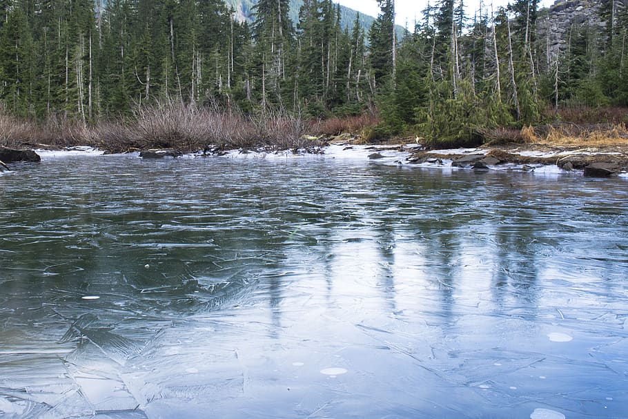 ice, nature, outdoor, pnw, trees, lake, explore, adventure HD wallpaper