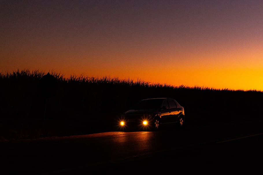 car near trees during sunset, sky, silhouette, light, vehicle HD wallpaper