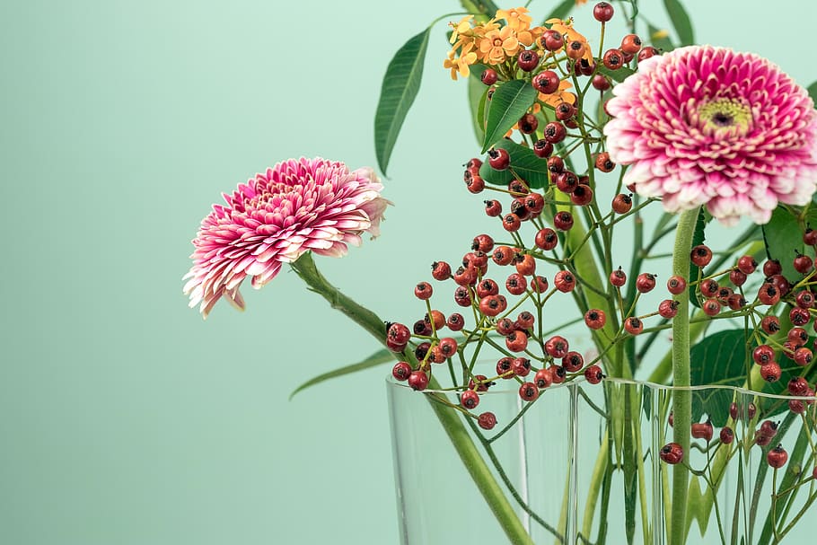 green, leaf, flower, nature, plant, petals, vase, flowering plant HD wallpaper