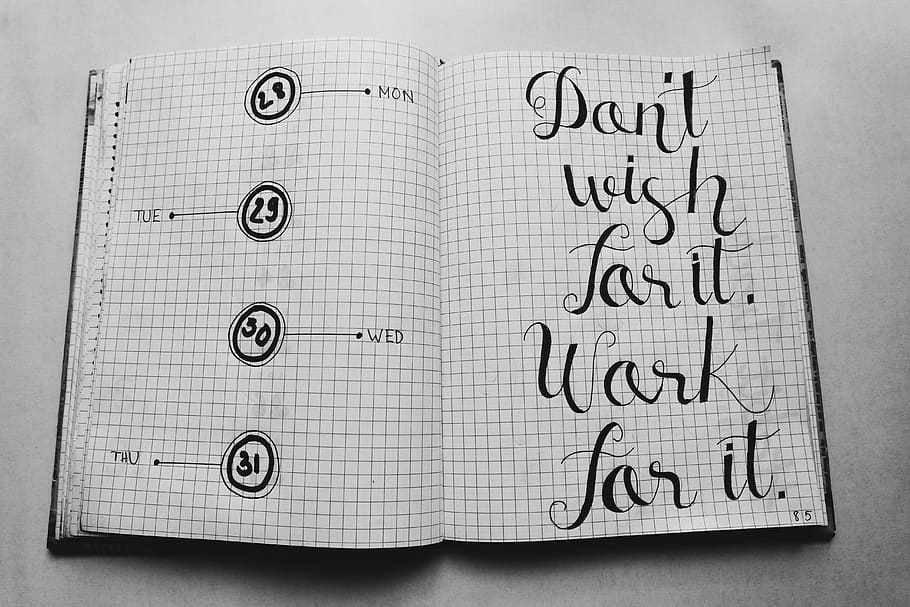 White Graphing Book, education, illustration, note, notebook HD wallpaper