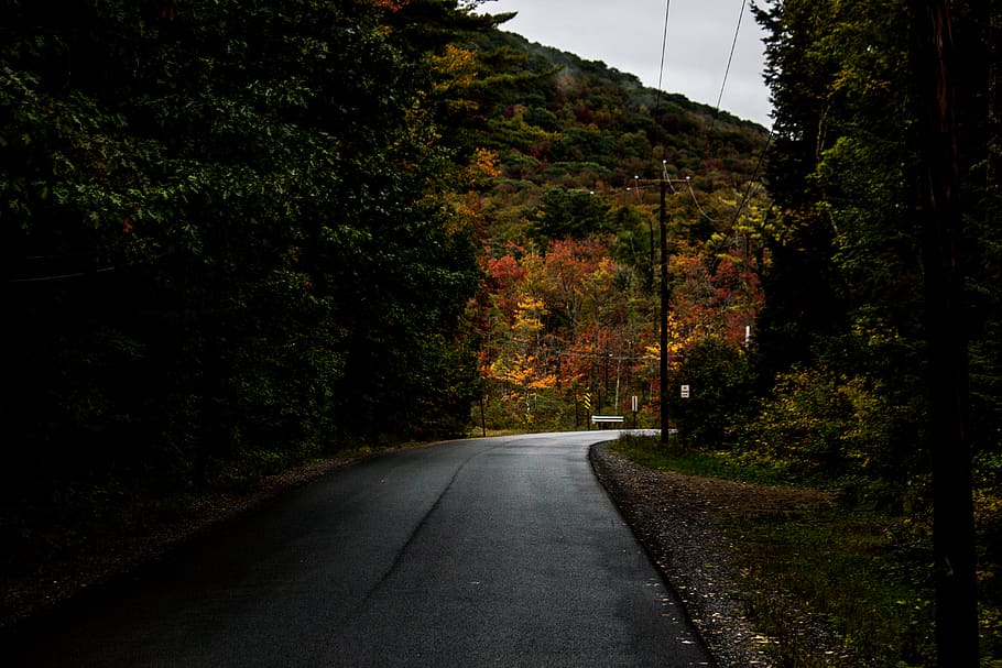 street, road, canada, indian summer, nature, autumn, colorful HD wallpaper