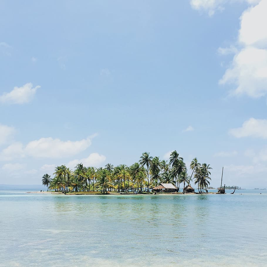 trees, ocean, sea, water, island, coconut, sky, clouds, vacation HD wallpaper