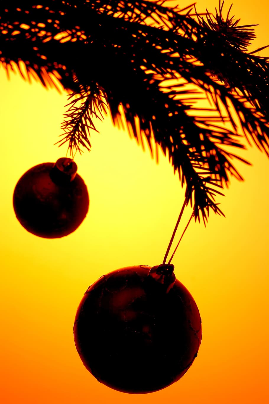 christmas, balls, xmas, tree, branch, fir, pine, sphere, new HD wallpaper