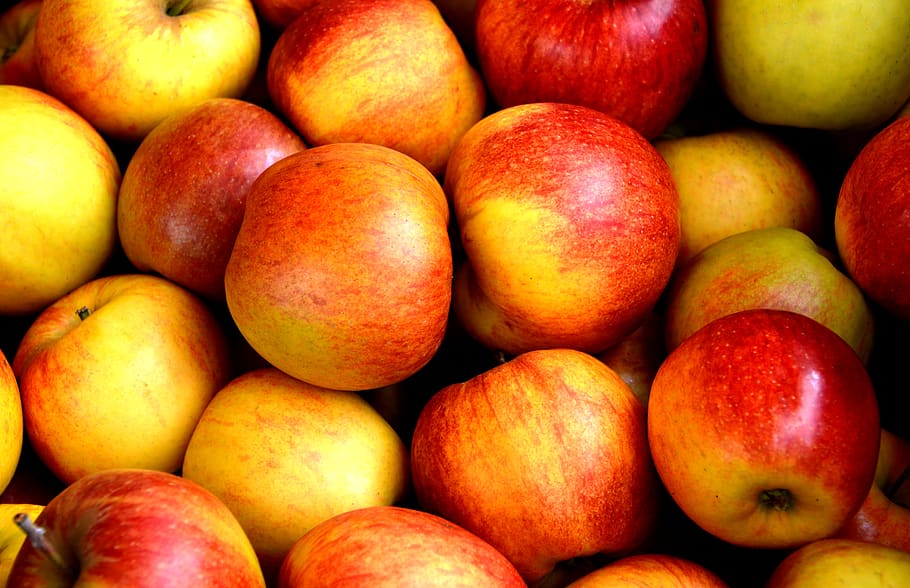 Red Apple Fruits, apples, close-up, delicious, eat, food, fresh HD wallpaper