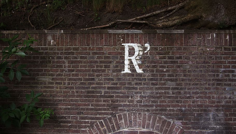 r, wall, brick, paint, graffiti, street, art, painting, vandal HD wallpaper