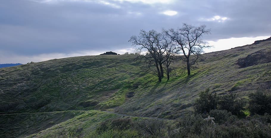 calistoga, oat hill mine trail, united states, thin sunlight, HD wallpaper