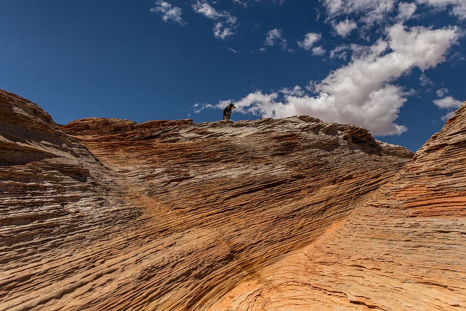 brown mountain, sky, cloud - sky, scenics - nature, leisure activity HD wallpaper