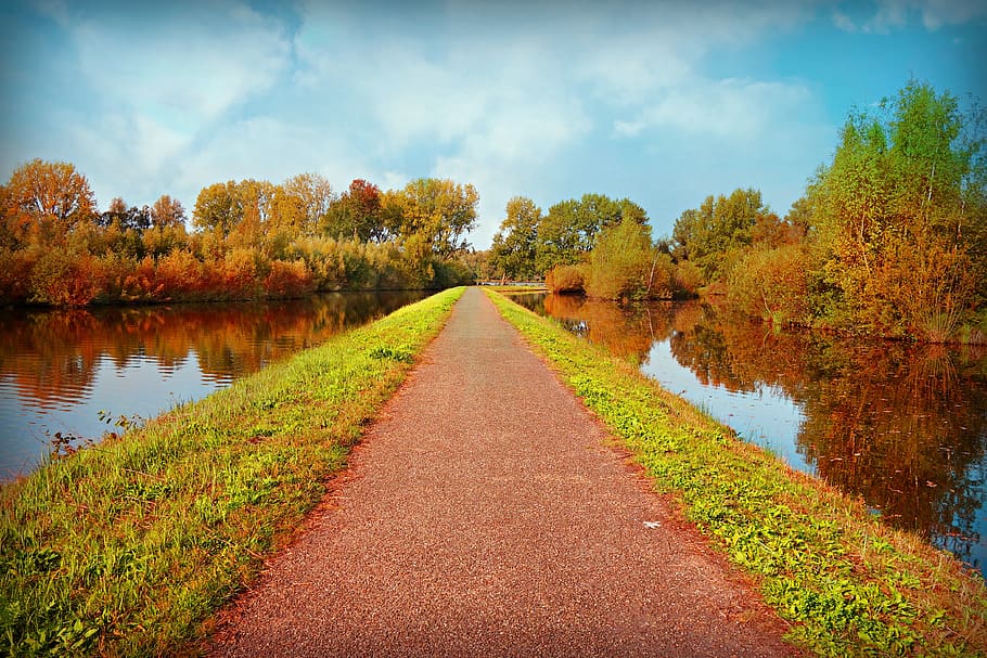 road, ditch, water, perspective, tree, reflection, vanishing point HD wallpaper