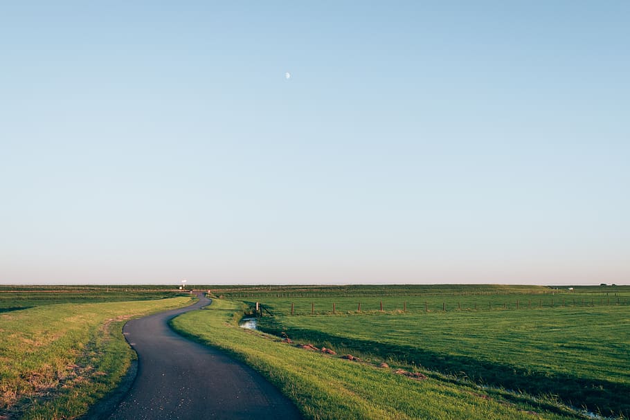 green, grass, lawn, field, nature, outdoor, road, travel, horizon HD wallpaper