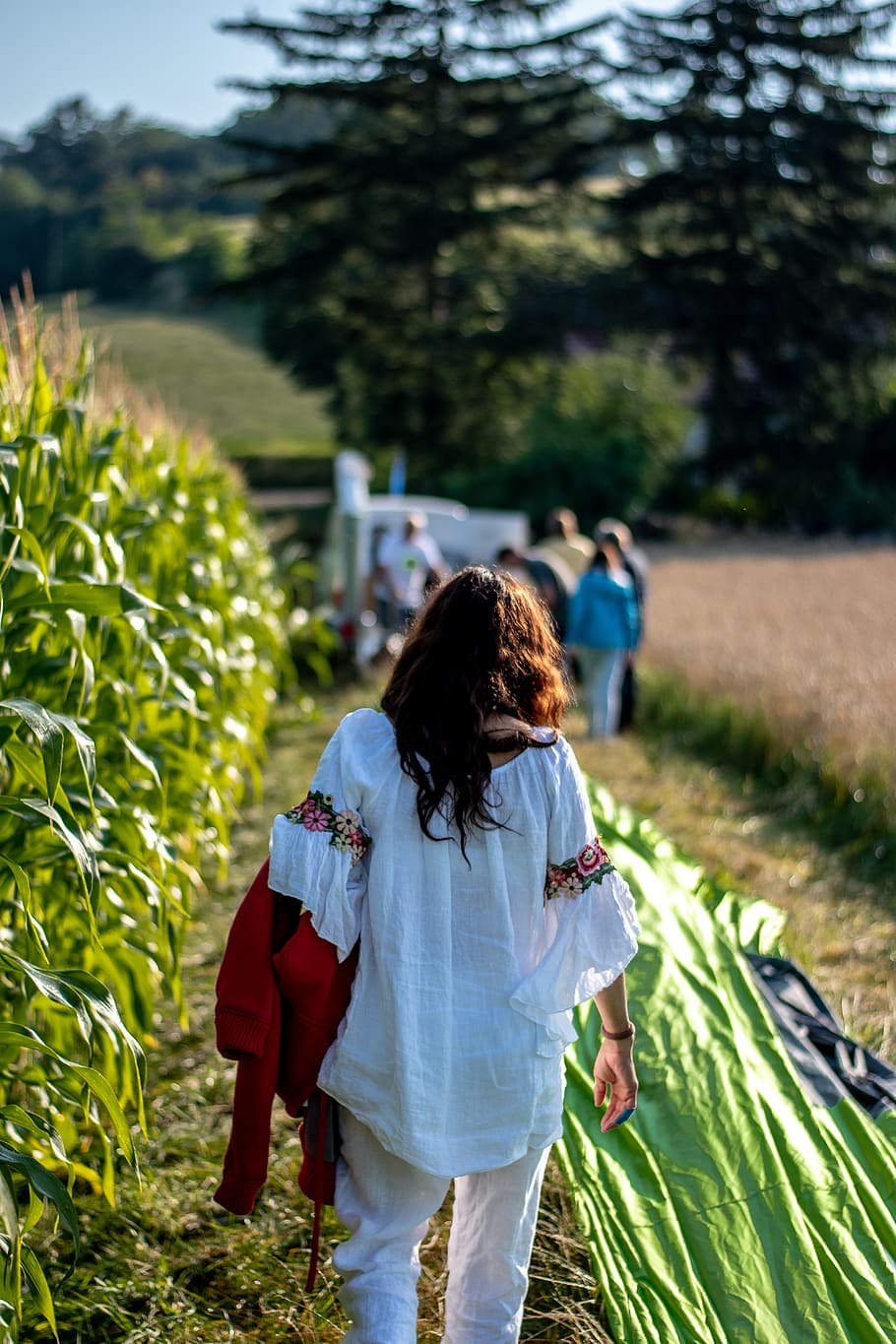 woman beside corn field, human, person, apparel, clothing, outdoors HD wallpaper