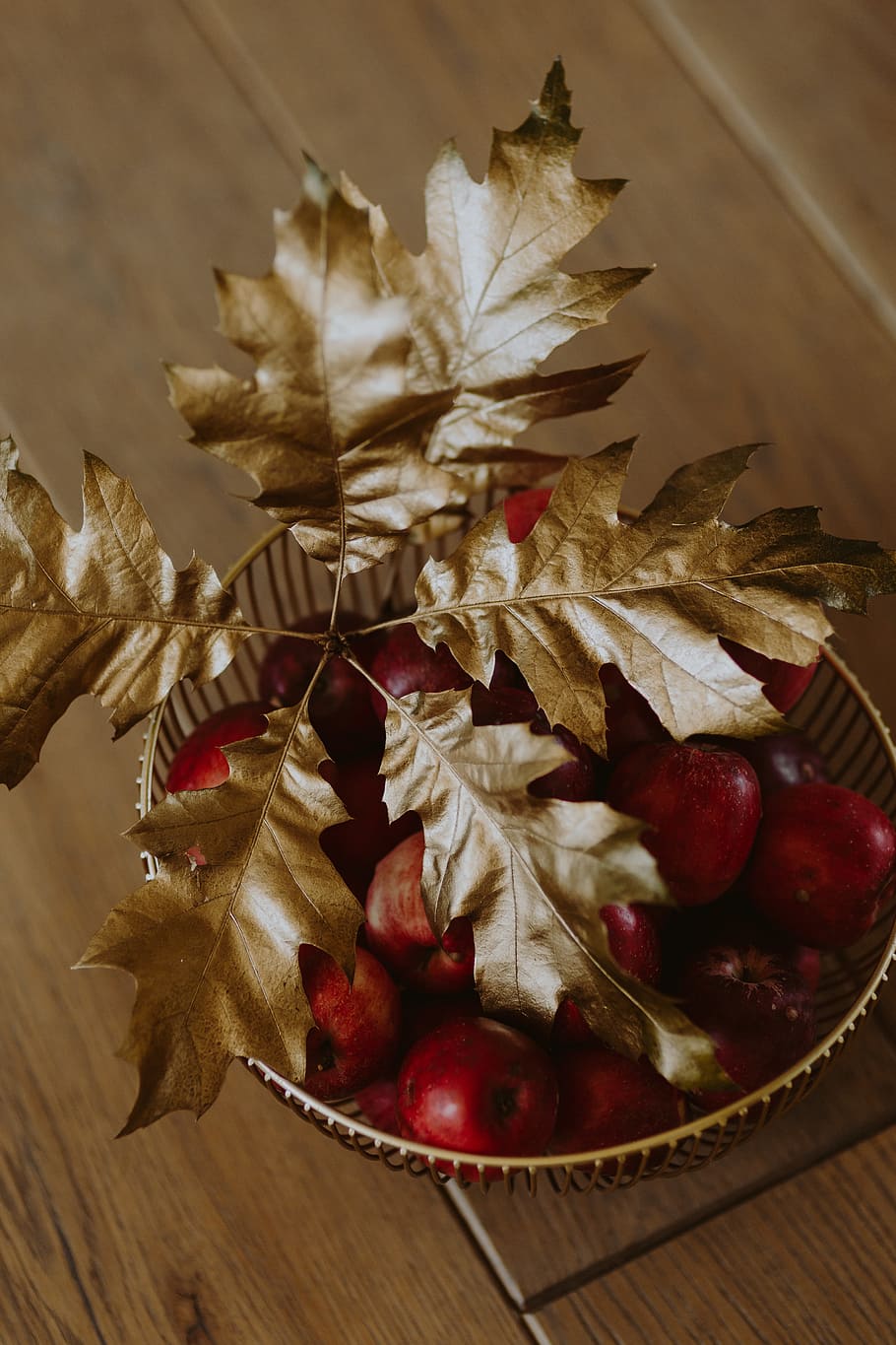 Red apples and golden oak leaves, gold leaves, golden leaves HD wallpaper