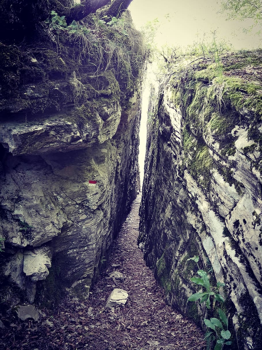 path, explore, nature, mountain, rock, beauty in nature, tree HD wallpaper