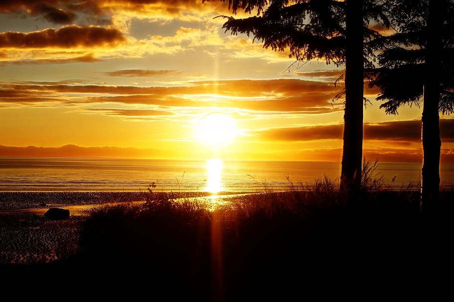 Sunset Ocean, backlit, beach, dawn, dusk, leisure, orange, outdoors HD wallpaper