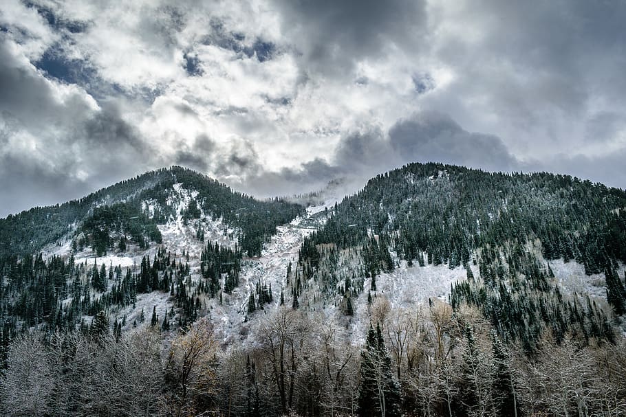 Mountain Under Cloudy Sky, clouds, cold, conifer, daylight, frost HD wallpaper
