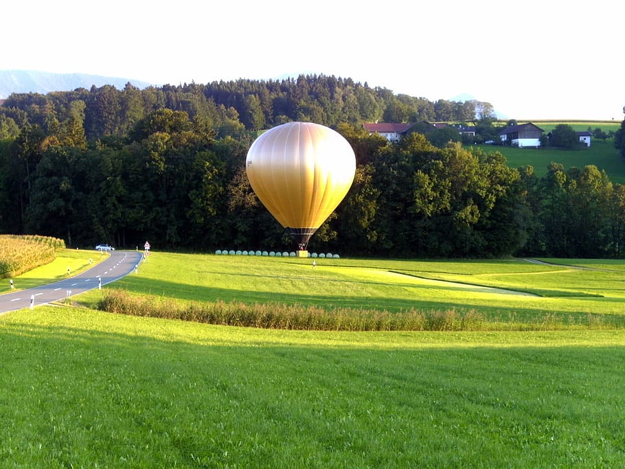 Beige Hot Air Balloon on Green Grass, bright, field, grassland HD wallpaper
