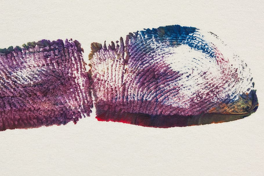 fingerprint, texture, trace, stamp, no people, land, studio shot HD wallpaper