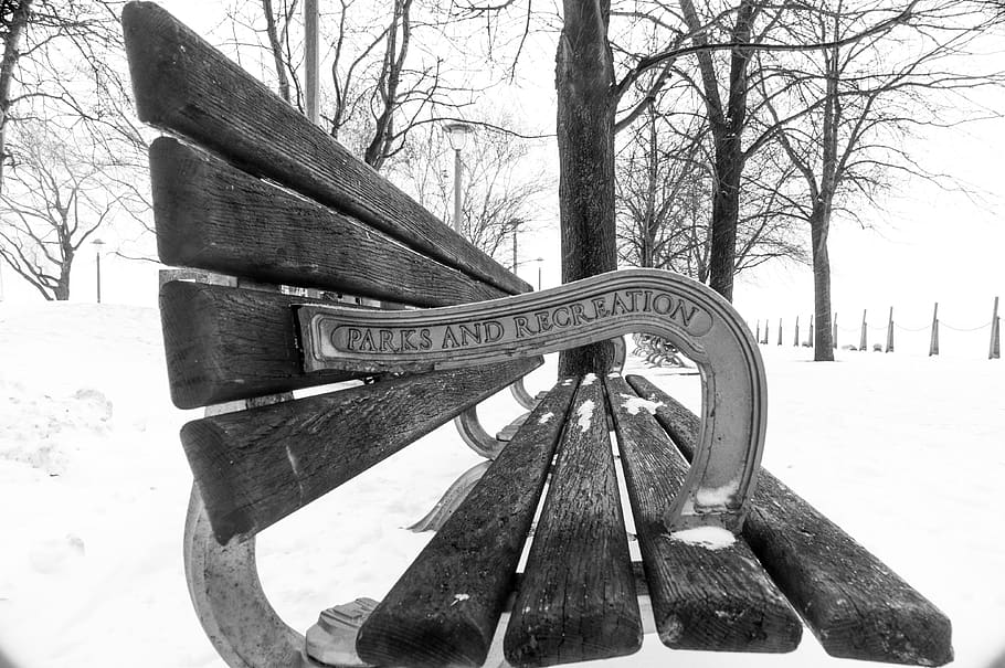 tree, bench, cold temperature, winter, seat, snow, nature, wood - material HD wallpaper