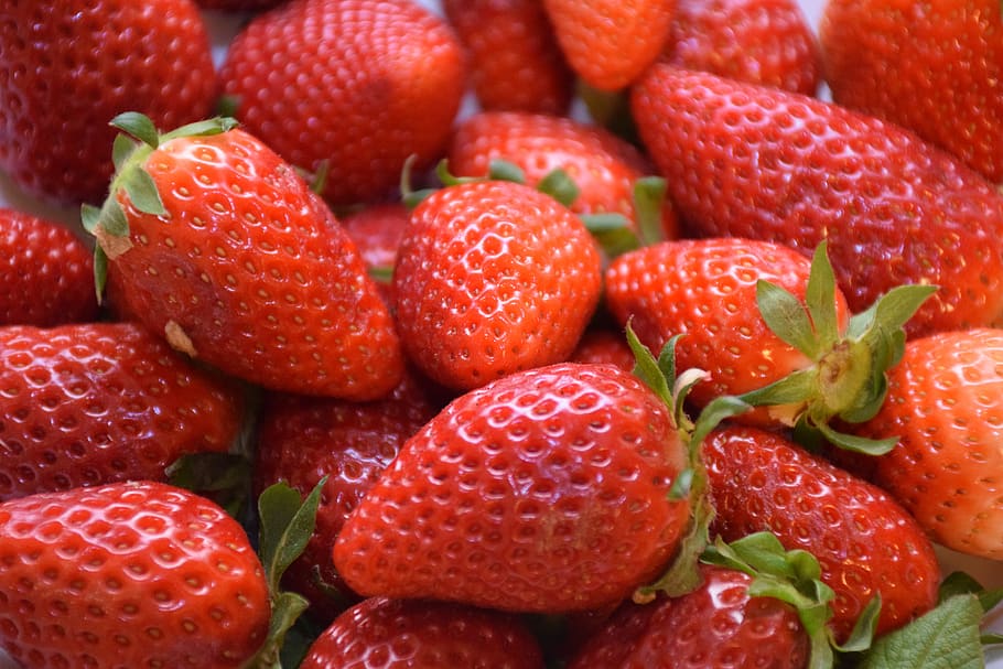 strawberry, erdbeeren, fruit, spring, sweet, mature, fresh HD wallpaper