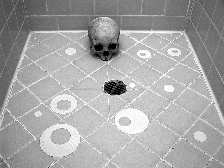 skull, human, human skull, death, motel, cheap motel, shower HD wallpaper