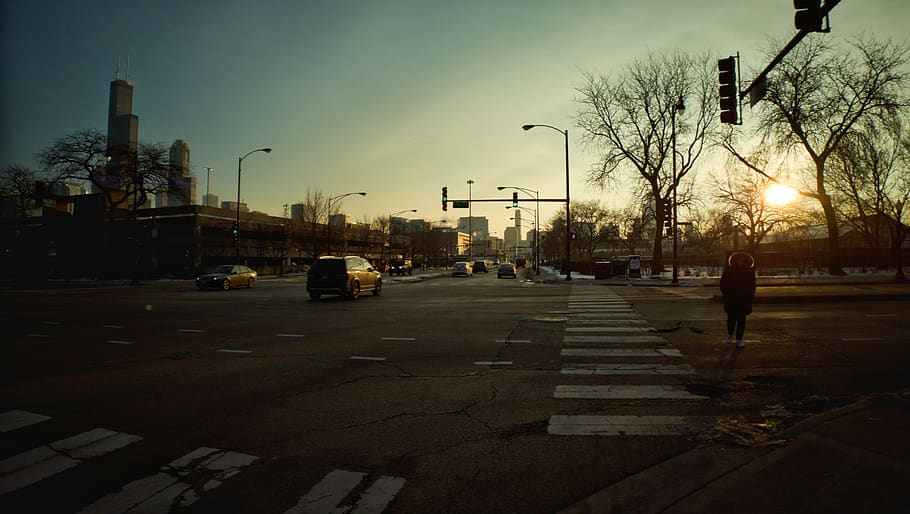 road, tarmac, asphalt, traffic light, zebra crossing, automobile HD wallpaper
