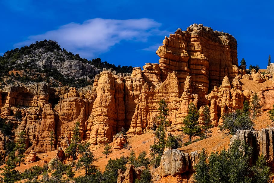 trees near mountain, outdoors, nature, cliff, mesa, valley, canyon HD wallpaper