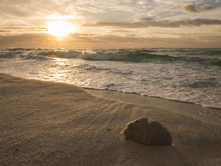 gulf, sand, sky, cloud, wafe, morning, sunrise, water, beach HD wallpaper