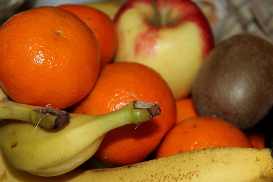fruit, citrus, vitamins, eating, health, fresh, food, nutrition HD wallpaper